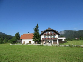 Отель Ferienhaus Santner, Тамсвег